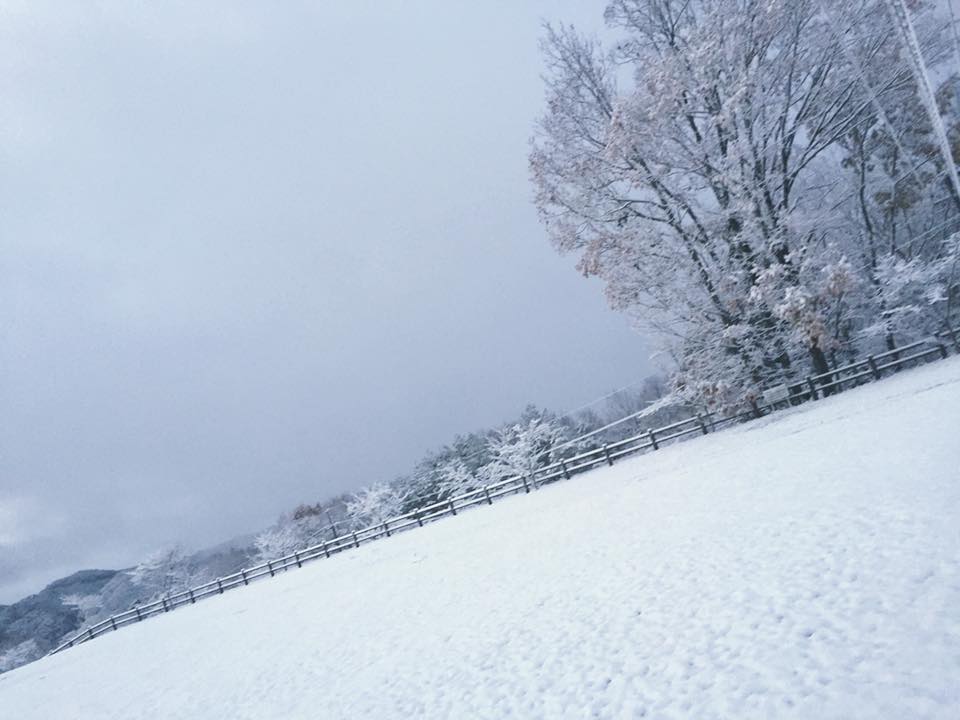 西山高原キャンプ場の雪景色