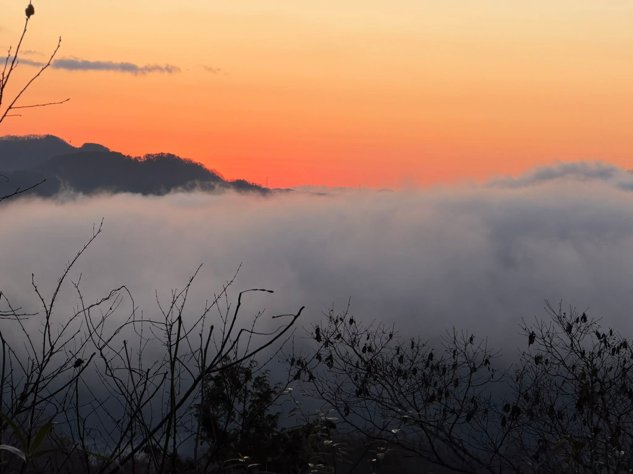 2026010101.jpg 2026010101.jpg